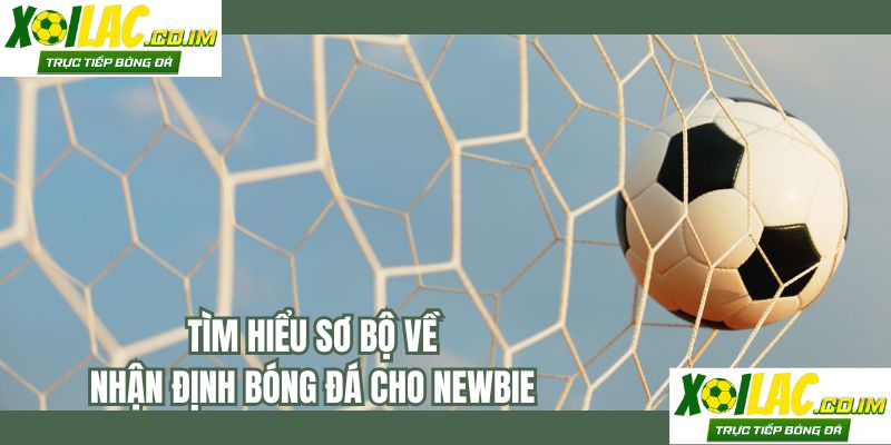 Tìm hiểu sơ bộ về nhận định bóng đá cho newbie